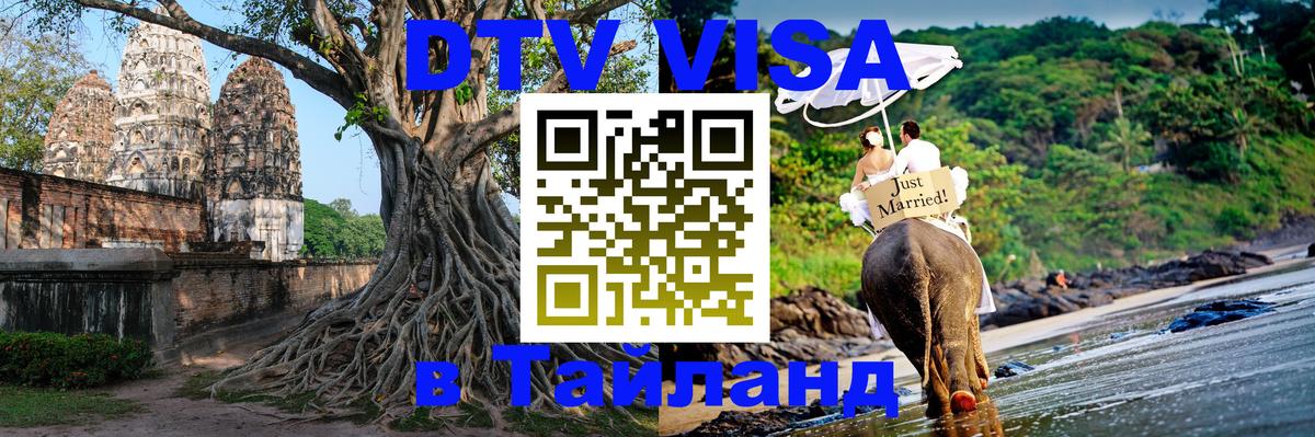 Оформление DTV визы под ключ: стоимость и тарифы, только загранпаспорт - Тамбов  09.01.2026 